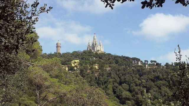 Imagen general del Parque de la sierra de Collserola / IRIARTE JAILAI - CREATIVE COMMONS