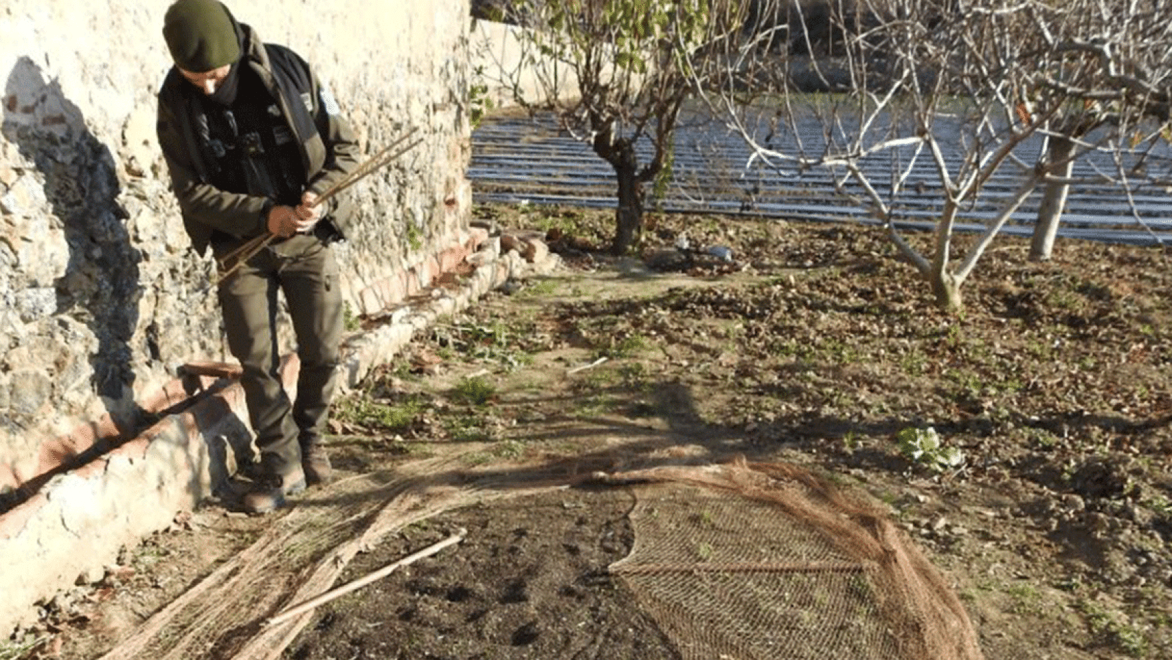 Un agente durante el desmantelamiento de un punto de caza furtiva de pájaros en Santa Susanna (Barcelona) / AGENTS RURALS