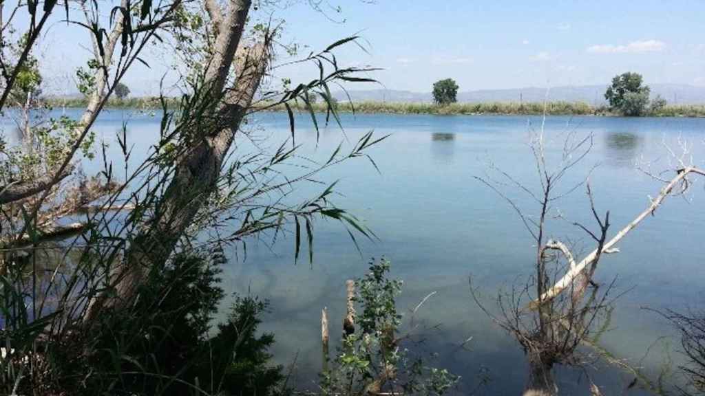 Imagen del río Ebro a su paso por Amposta (Tarragona) / CG