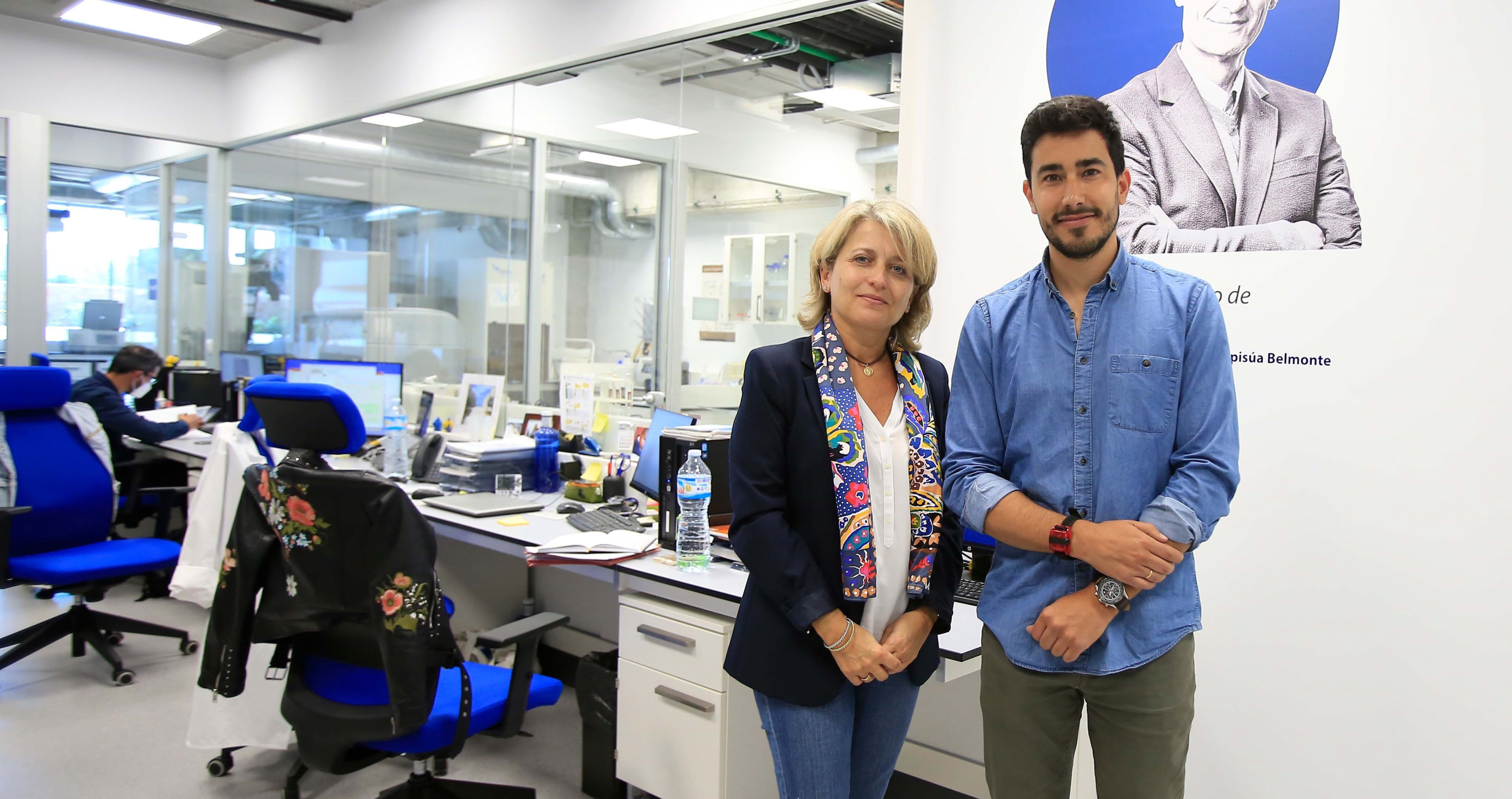 Un equipo liderado por Izpisúa logra reparar de forma rápida y segura tejido hepático dañado / EP