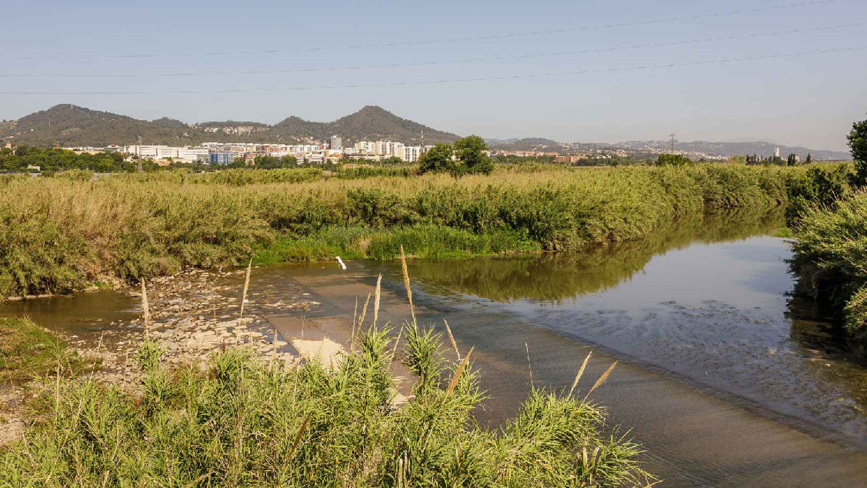 Delta del río Llobregat / AIGÜES DE BARCELONA