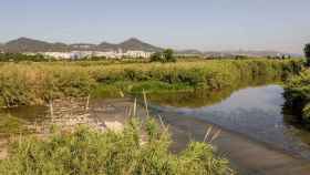 Delta del río Llobregat / AIGÜES DE BARCELONA