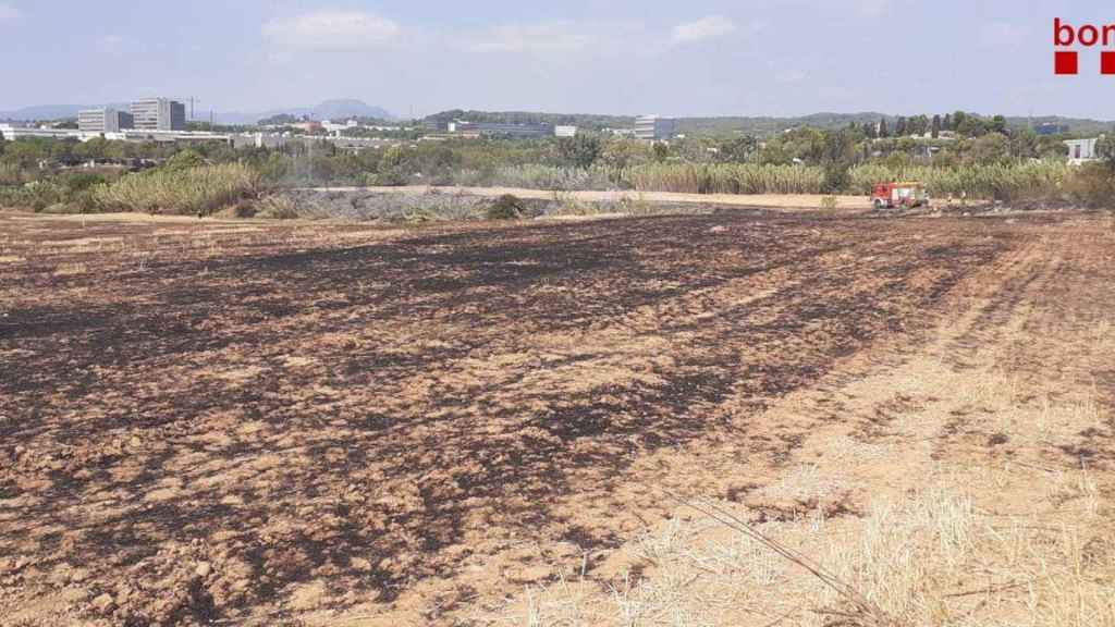 Incendio forestal en Sant Cugat del Vallès (Barcelona) este sábado / BOMBERS