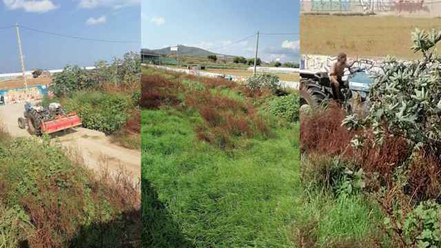 La riera de Sant Climent en Viladecans, descuidada y llena de vegetación / FOTOMONTAJE CG