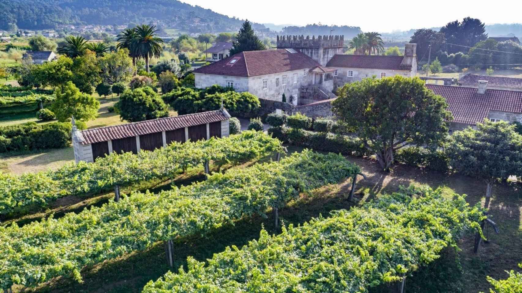 Bodega de Familia Torres en Galicia / EP