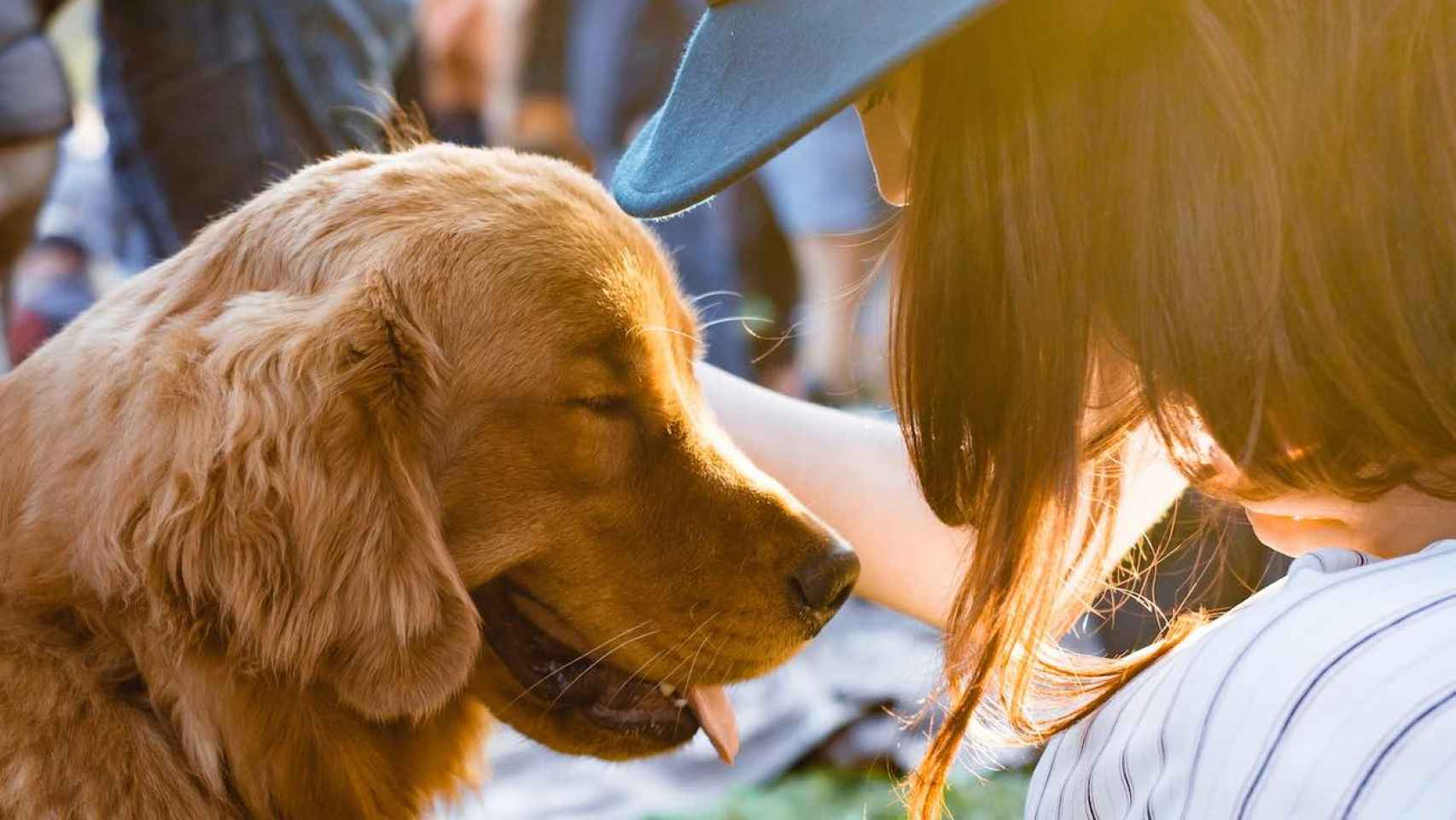 Una chica acaricia a un perro / UNSPLASH