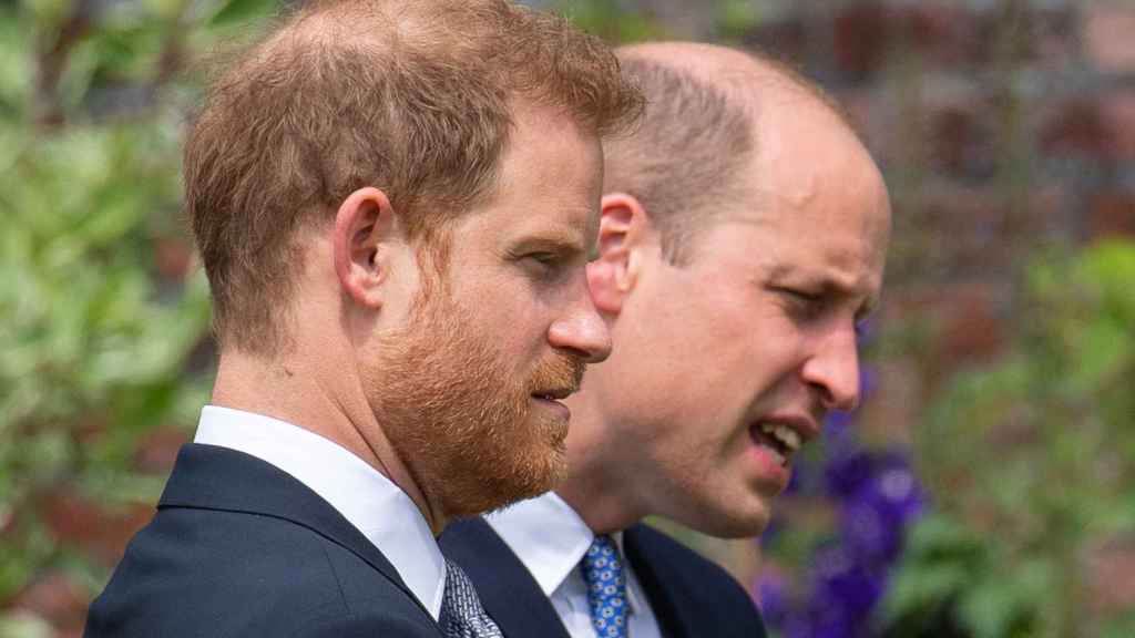 Los príncipes Harry y William / EP