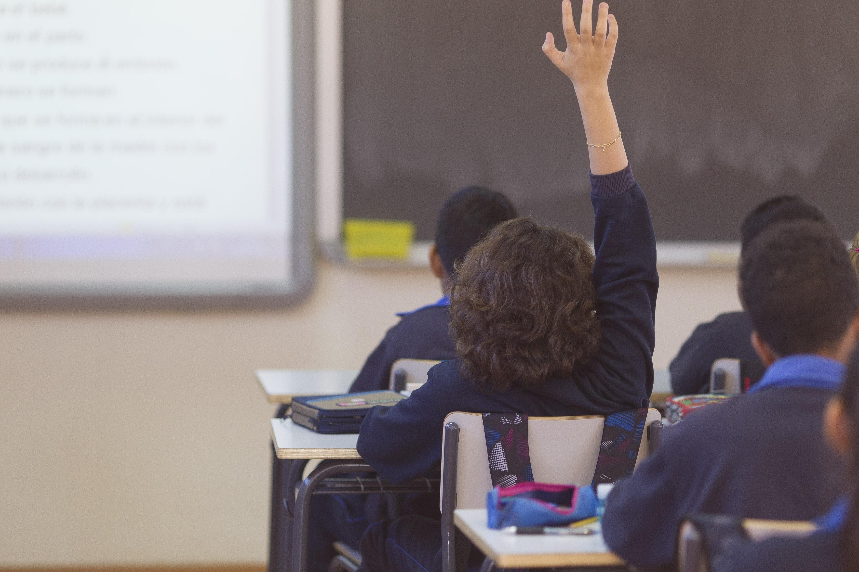 Un niño levanta la mano en la clase / EP