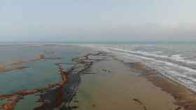 El azote del temporal 'Gloria' en el Delta del Ebro pone en peligro la Isla de Buda