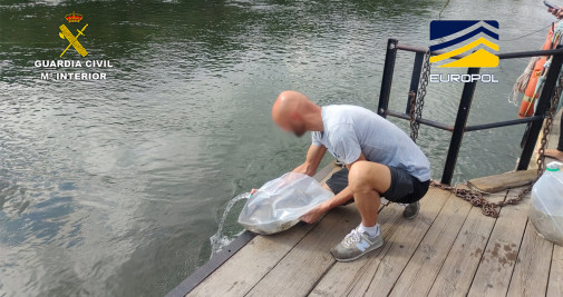 Reintroducción de las angulas intervenidas en el Delta del Ebro / GUARDIA CIVIL