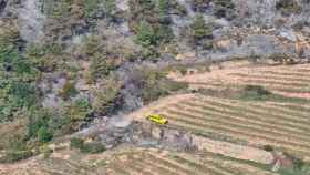 Vista parcial de la zona donde se originó el incendio que quemó 43 hectáreas de zona forestal / AGENTES RURALES