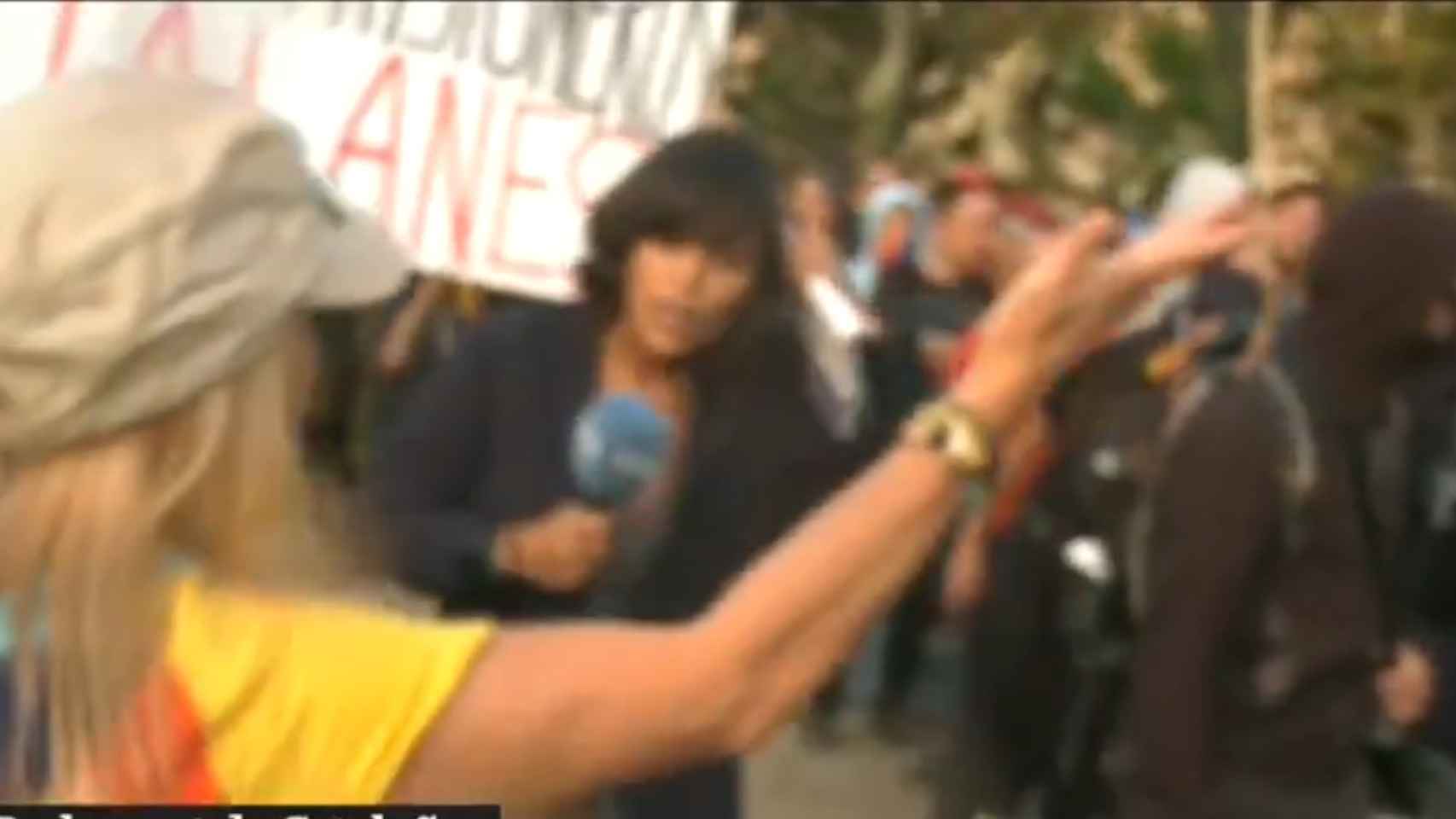 Agreden a una periodista de TVE durante la Diada / RTVE