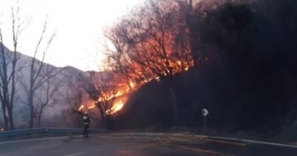 Incendio forestal en Cantabria