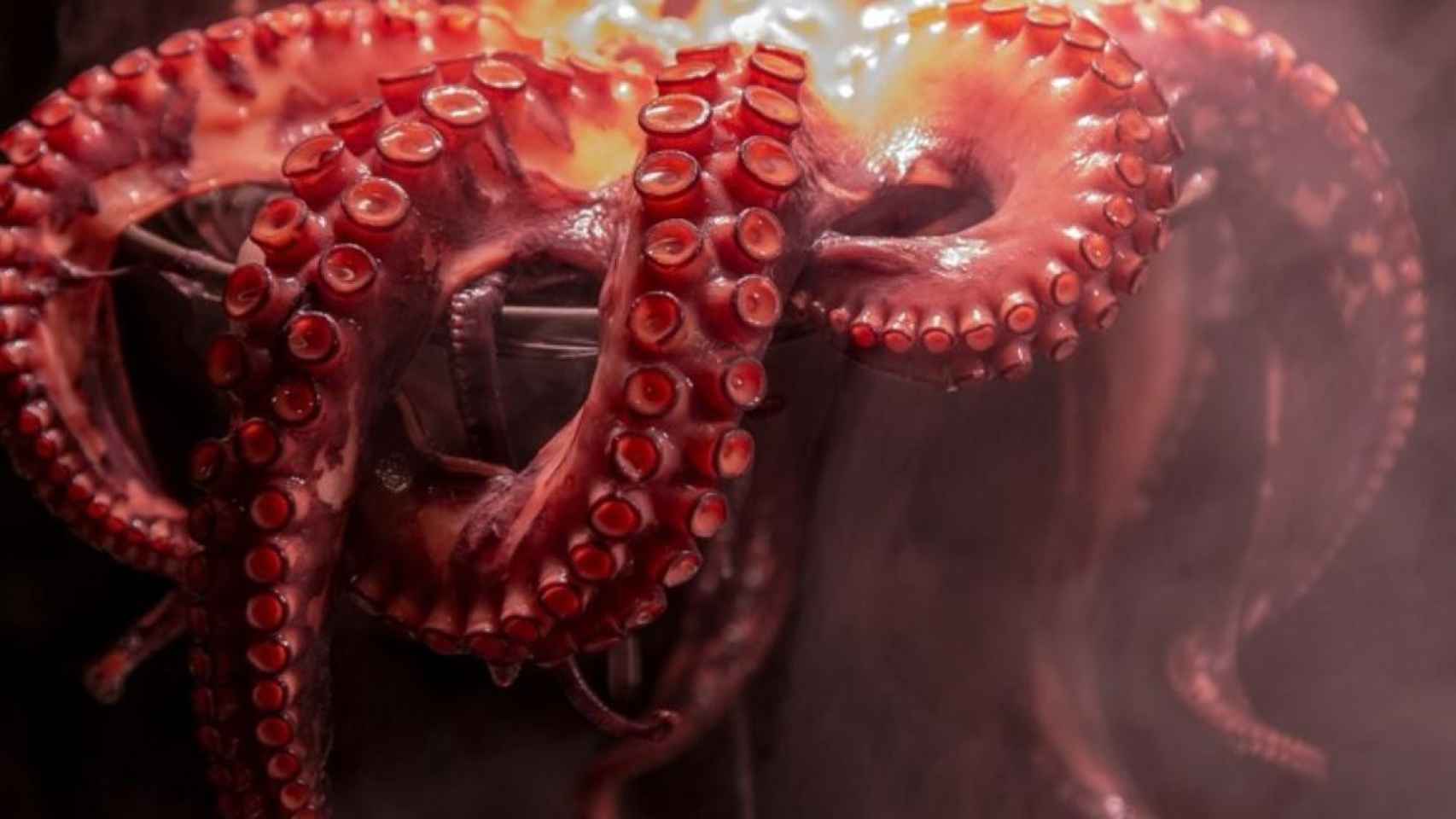 Imagen de un pulpo en plena elaboración / Pasha Gulian en UNSPLASH