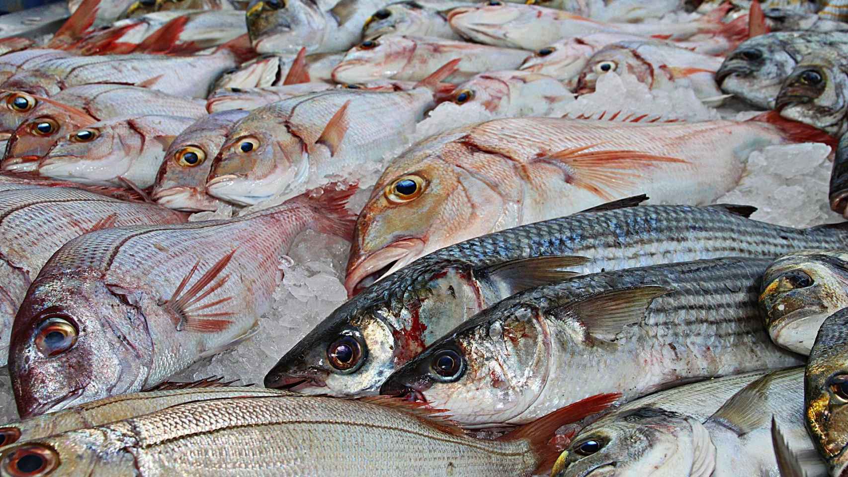 Pescado fresco disponible en pescaderías / PIXABAY