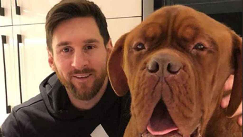 messi perro hulk