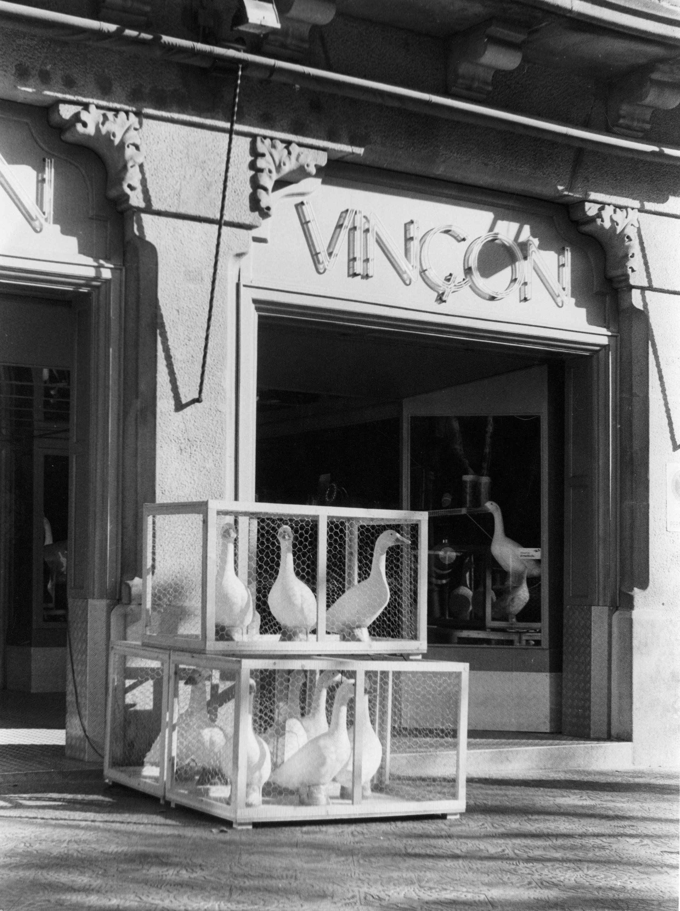 Ocas en el escaparate en el año 1982 / Fotografía Fons Vinçon del Museu del Disseny de Barcelona (MDB)
