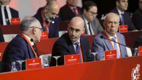 Luis Rubiales en la asamblea de la RFEF / EFE