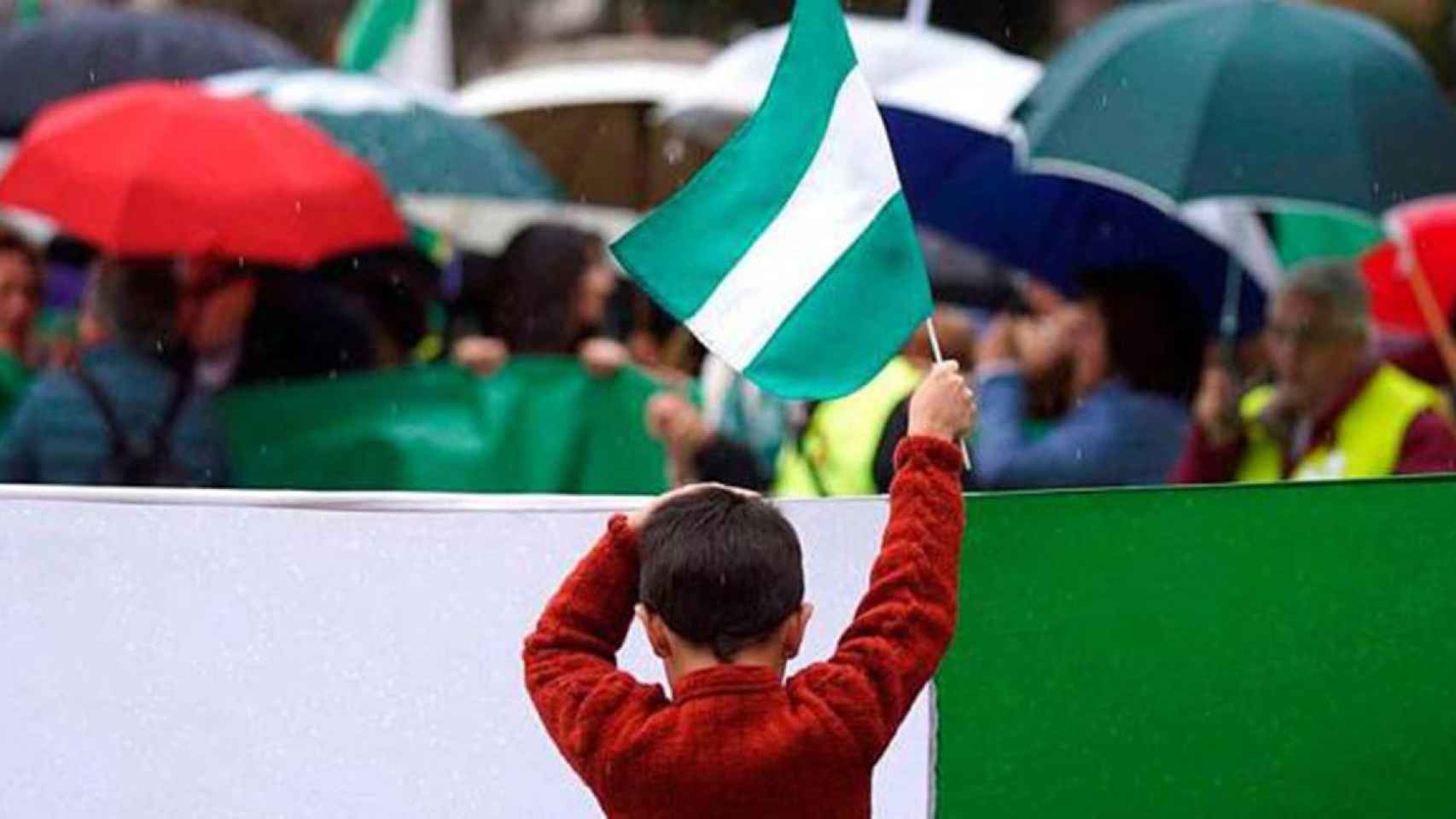 Un niño con una bandera andaluza. Cataluña / EFE