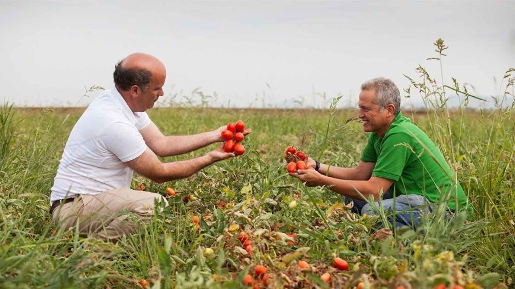 Una foto de archivo de las plantaciones sostenibles de Knorr en Extremadura / Unilever