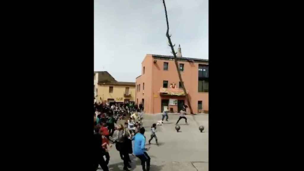 Susto en Girona por un árbol que casi aplasta al público / CG