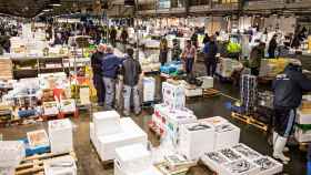 El Mercado Central del Pescado de Mercabarna en Barcelona / EUROPA PRESS