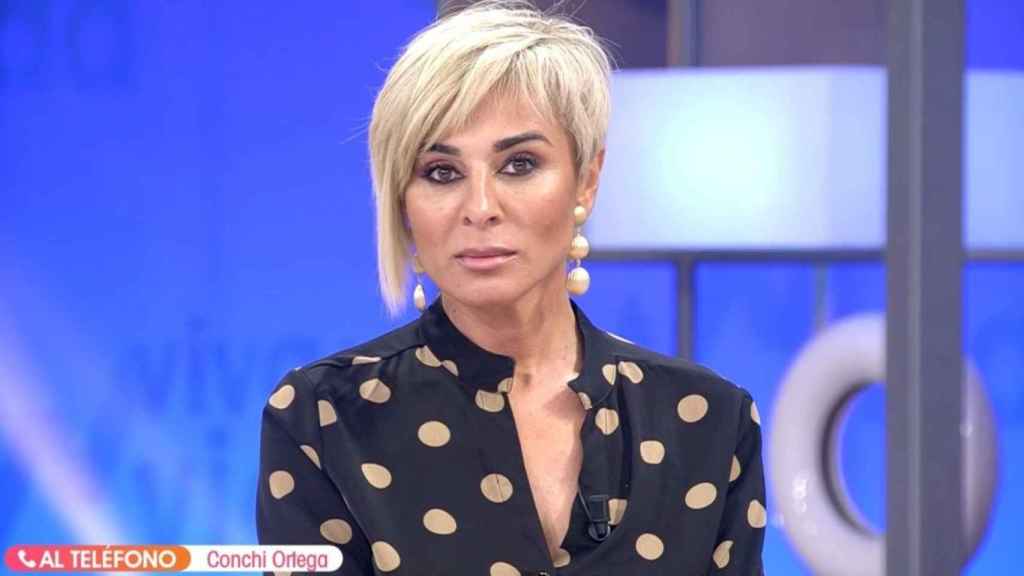 Ana María Aldón en 'Viva la vida' / MEDIASET