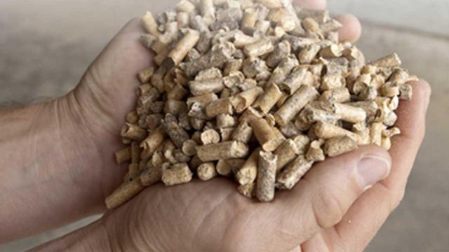 Consumo de biomasa / GENERALITAT DE CATALUÑA