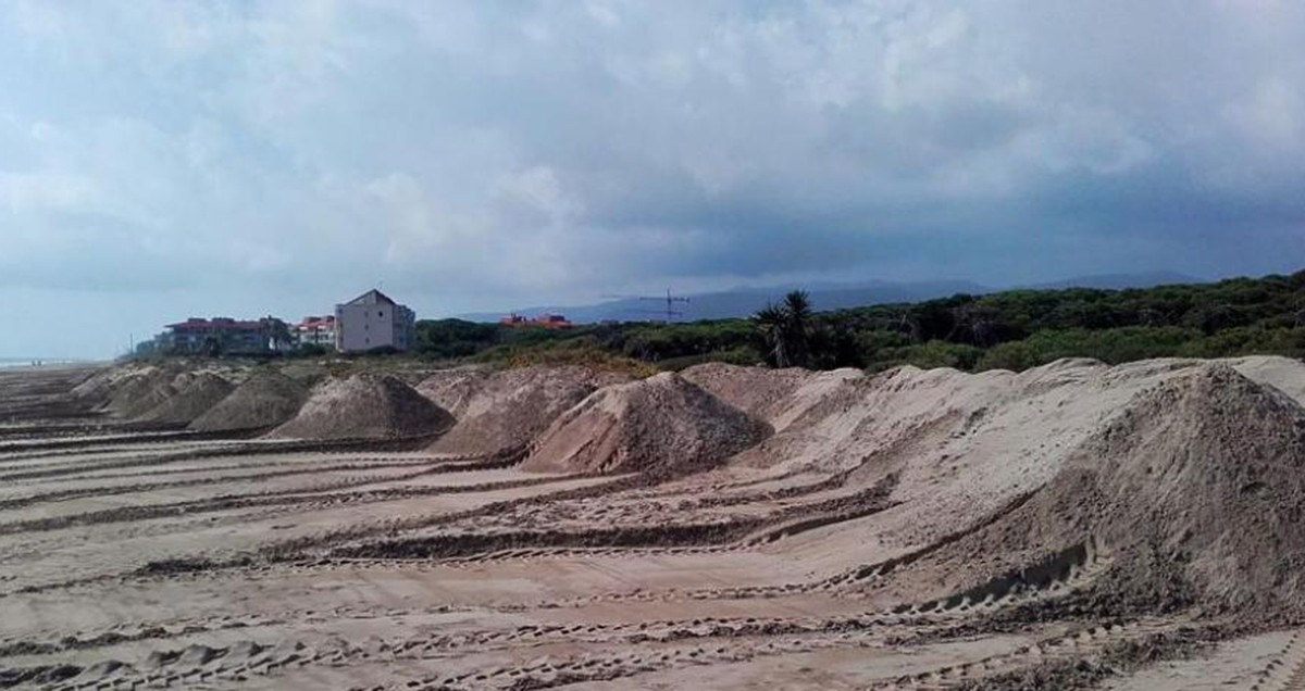 Regeneración de dunas en el litoral metropolitano de Barcelona /AMB