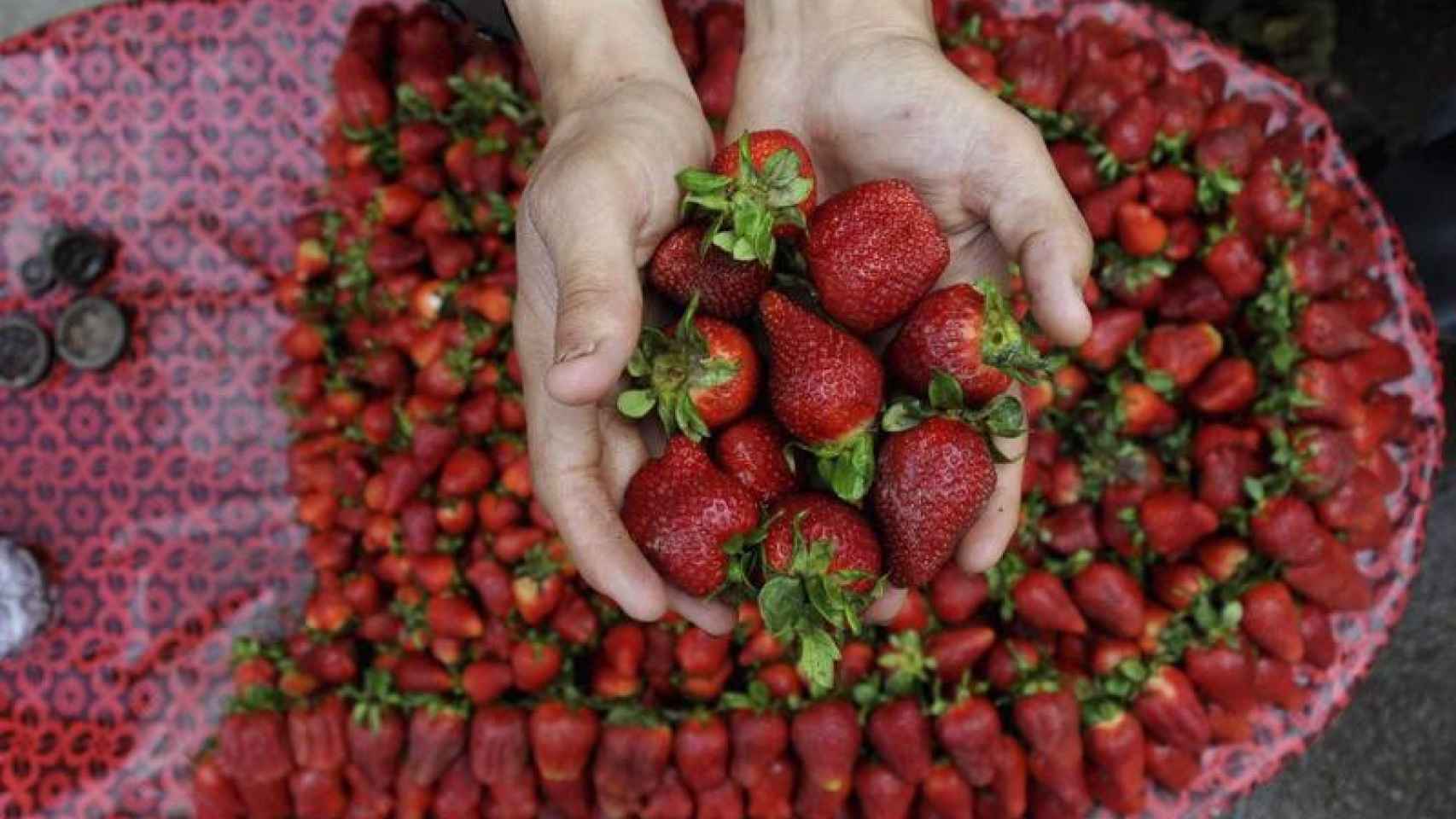 Altas dosis de vitamina C pueden ayudar a vencer el cáncer