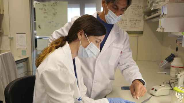 Investigadores del Vall d'Hebron Instituto de Investigación / VHIR