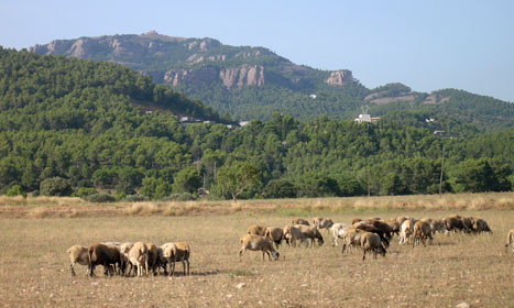 Imagen de la Anella Verda de Terrassa / AYUNTAMIENTO DE TERRASSA