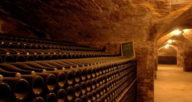 celler bodega de Cava / CG