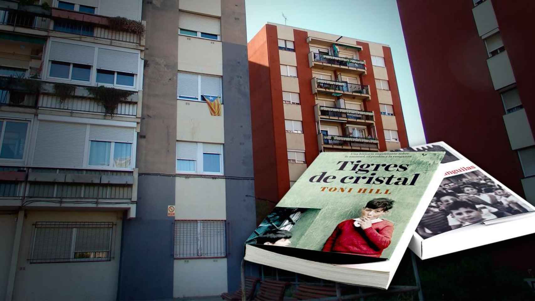 Ciudad Meridiana al fondo y dos libros que hablan de la periferia, 'Tigres de cristal' y 'La travesía de las anguilas' / CG