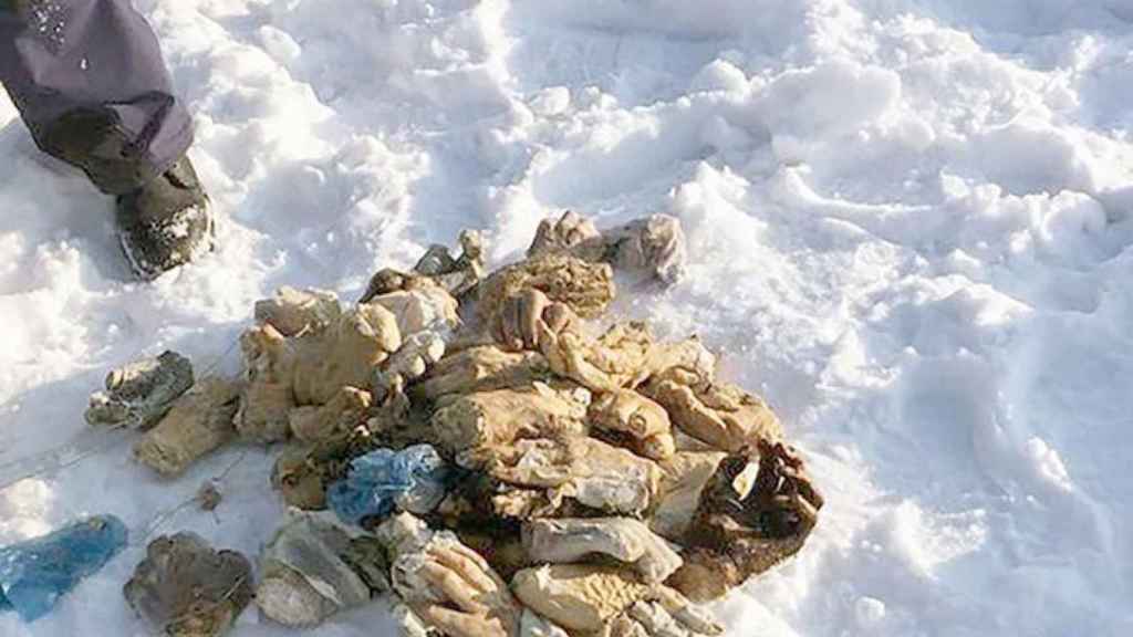 Una foto de archivo de las manos enterradas en la nieve