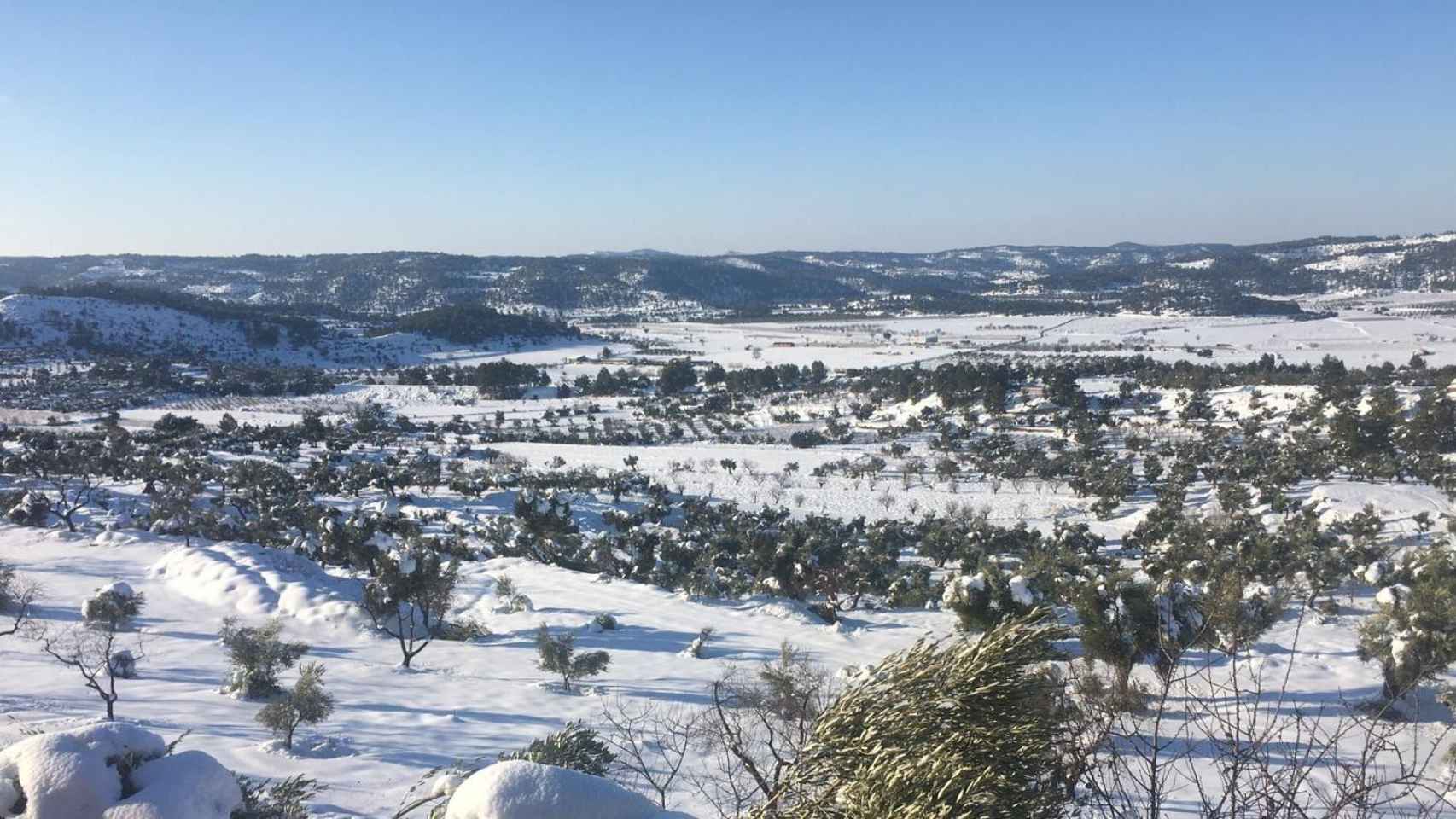 Zonas de cultivo en la Horta de Sant Joan (Tarragona) tras el paso del temporal 'Filomena' / EUROPA PRESS