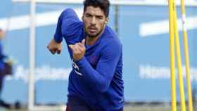 Una foto de Luis Suárez durante un entrenamiento del Barça / FCB