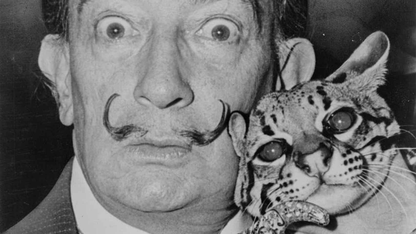 Salvador Dalí, uno de los pintores catalanes más relevantes / Creative Commons