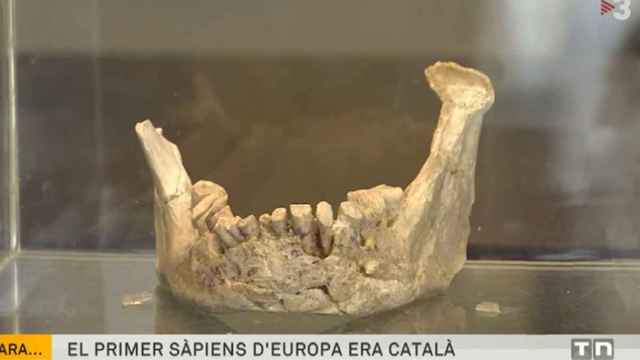 TV3, diciendo que el primer sapiens de Europa era catalán / TV3