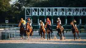 Salida de una carrera de caballos / PEXELS