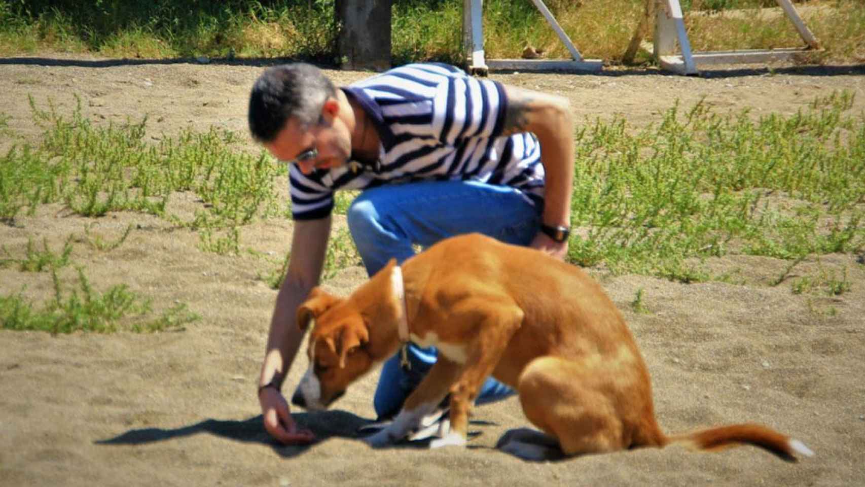 Adiestramiento de uno de los perros para detectar el Covid-19 / K-ANARY