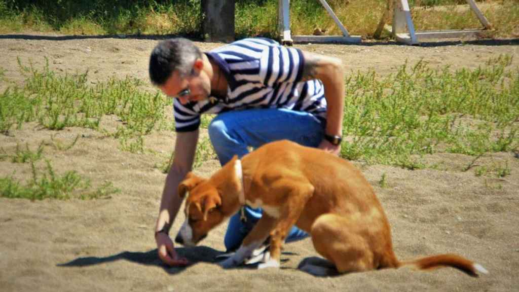 Adiestramiento de uno de los perros para detectar el Covid-19 / K-ANARY