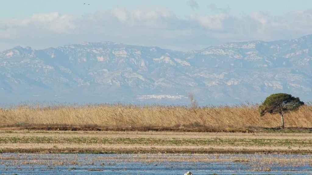 Tarragona con vistas a sus parques naturales (Parque Natural del Delta del Ebro) / WIKIMEDIA COMMONS