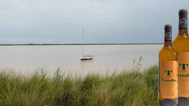 Marismas del Guadalquivir junto a dos botellas de Trebujena / VINOS DE ALBARIZAS