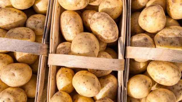 Cestos llenos de patatas / ERIC PROUZET - UNSPLASH