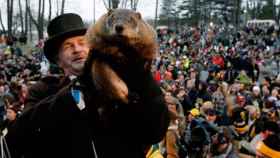 La marmota Phil el día 2 de febrero de 2017 después de su pronóstico / EFE