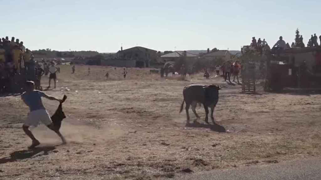 Momentos antes de que el joven recibiera varias cornadas del toro