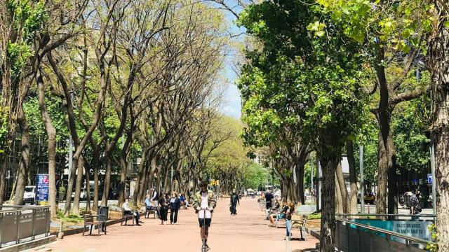 Se estima que en el 2050 el 80% de la población vivirá en las ciudades / DIPUTACIÓN DE BARCELONA