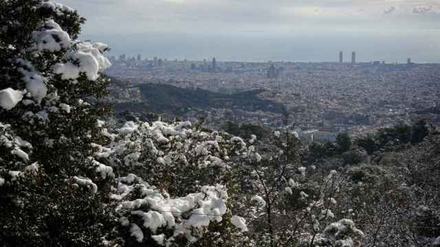Vegetación cubierta de nieve en la Sierra de Collserola vista desde el Tibidabo / EP