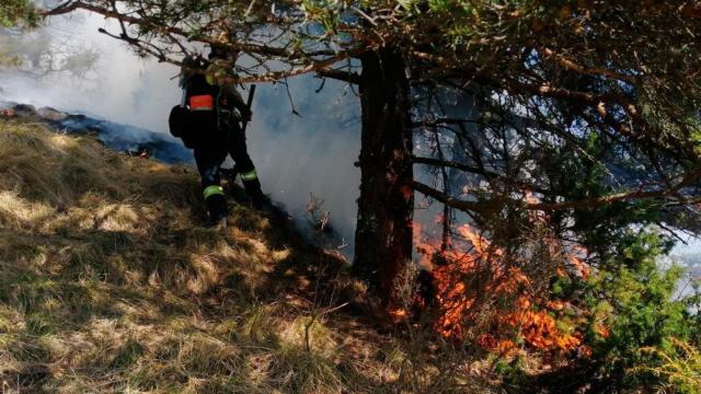 Incendio en el bosque de la Devesa de Les Valls de Valira / BOMBEROS